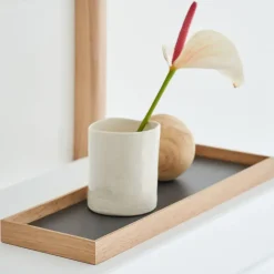 Frame Tray