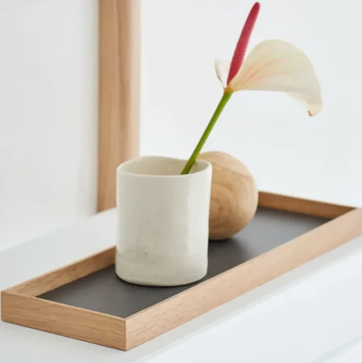 Frame Tray