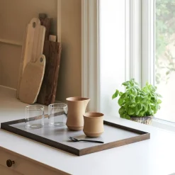 Frame Tray