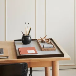 Frame Tray