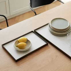 Frame Tray