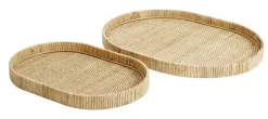 FUJI tray set