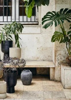GALOA planter