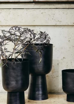 GALOA planter