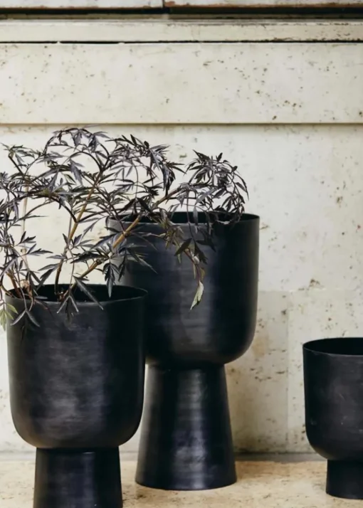 GALOA planter