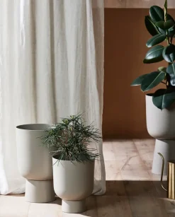Galoa Planter