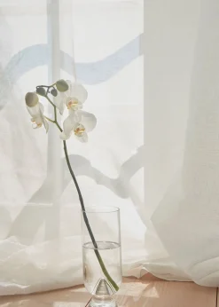 Glacies Vase