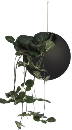 Globe Hangning Flowerpot
