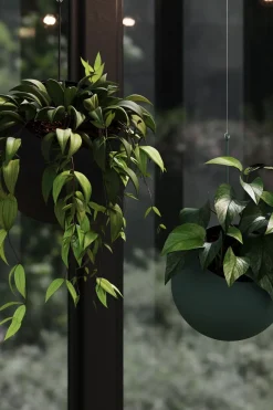 Globe Hangning Flowerpot