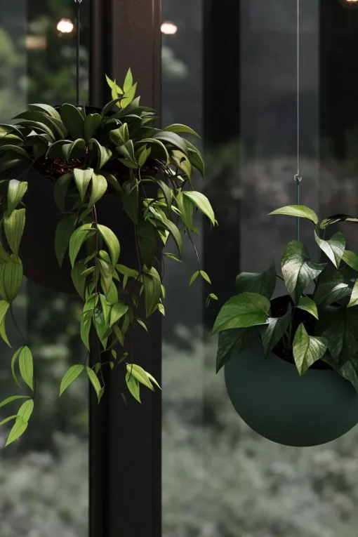 Globe Hangning Flowerpot