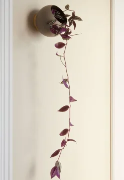 GLOBE wall flowerpot