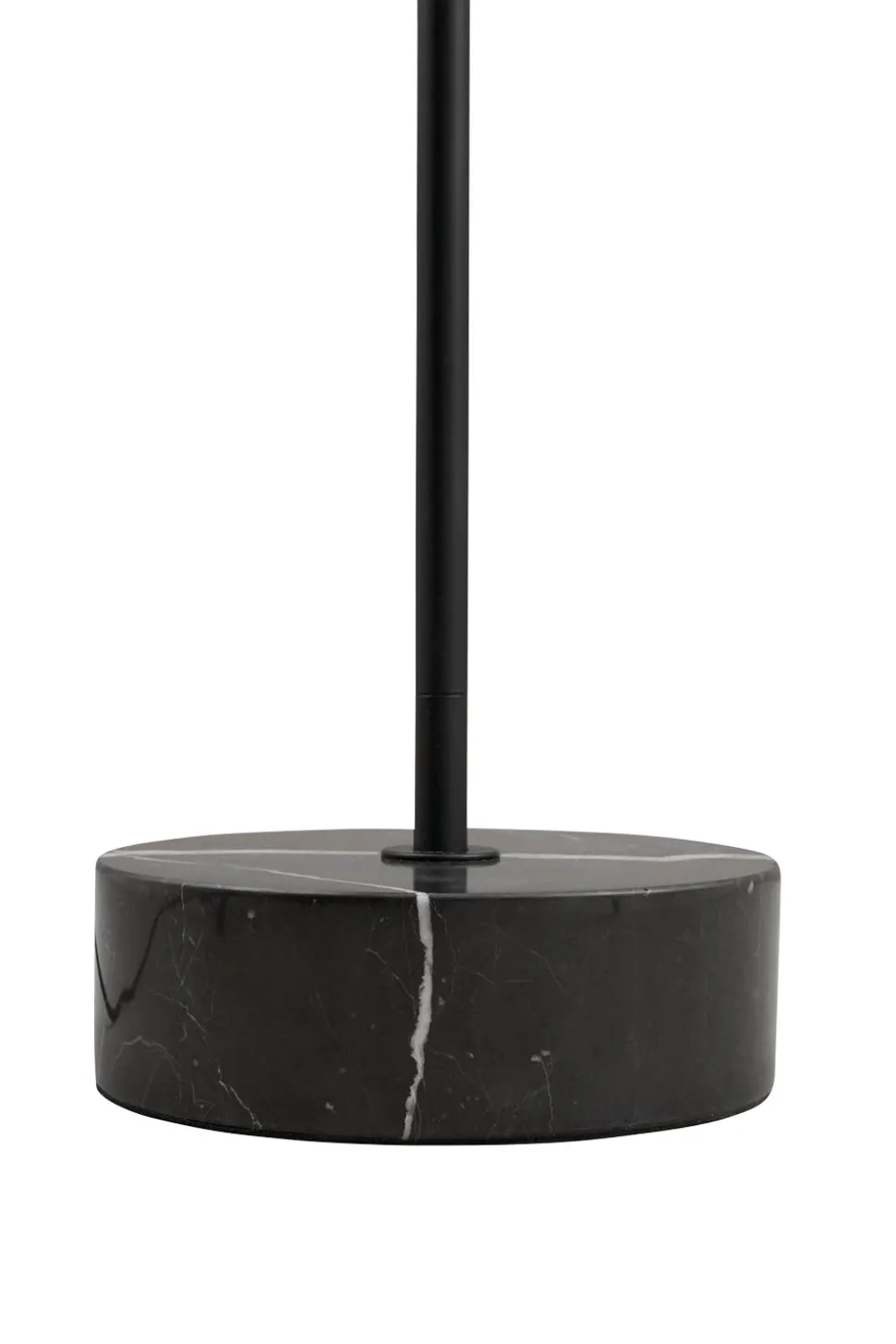 Grasil LED Floor Lamp