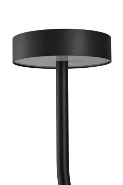 Grasil LED Floor Lamp