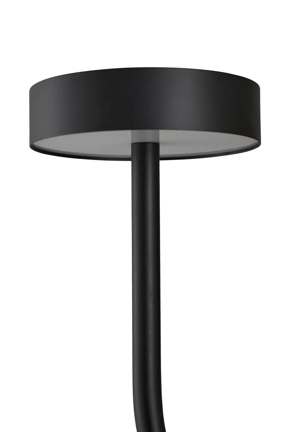 Grasil LED Floor Lamp