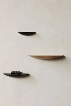 Gridy Fungi Shelf