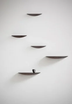 Gridy Fungi Shelf