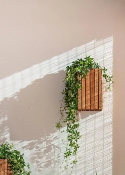 GrowSMALL Wall