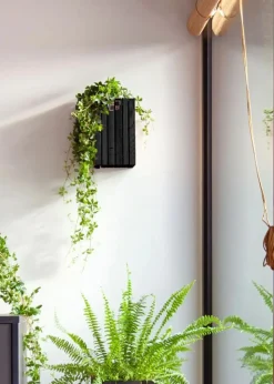 GrowSMALL Wall