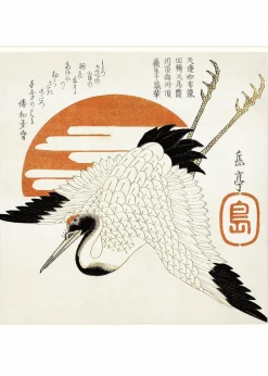 Grus Japonensis #4807