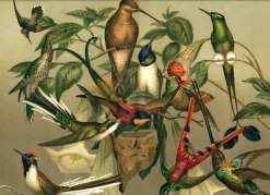 Hummingbirds. Horizontal #2905H