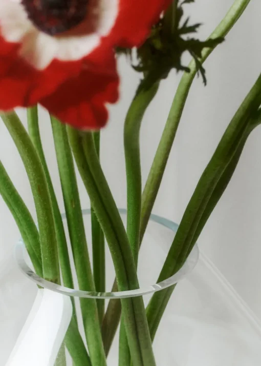 Hydro Vase 8208 & 8209 by Sofie Østerby