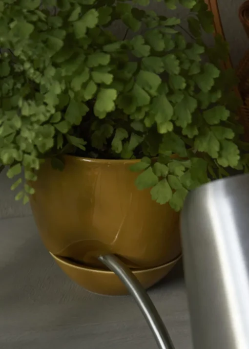Hydrous Planter