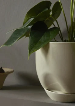 Hydrous Planter