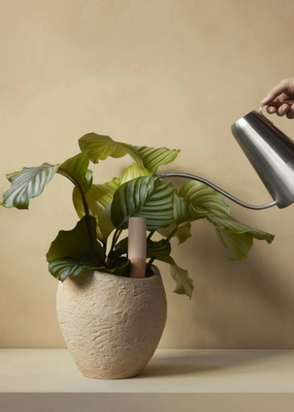 Hydrous Watering Stick, Set of two