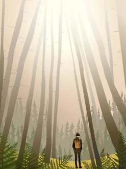 Into The Woods