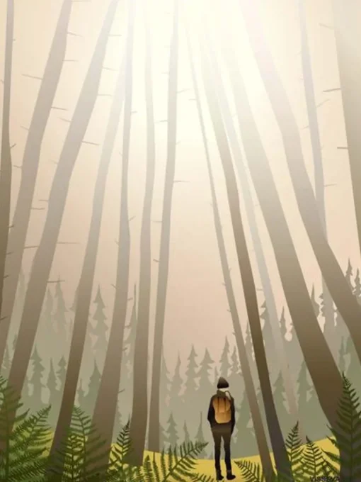 Into The Woods