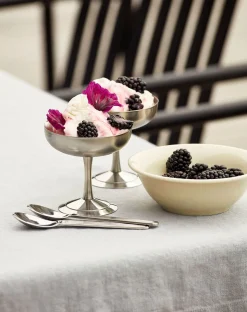 Italian Ice Cup