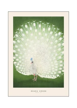 Japandi x PSTR Studio