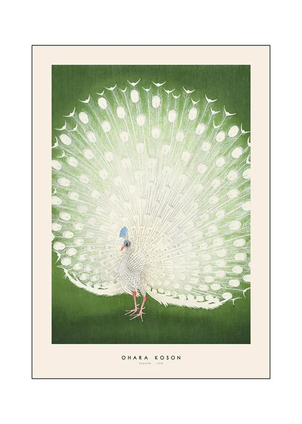 Japandi x PSTR Studio