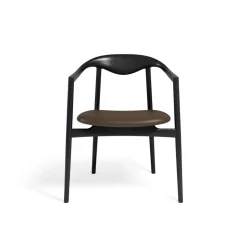 Jari Dining Chair - Ash Black lacquered