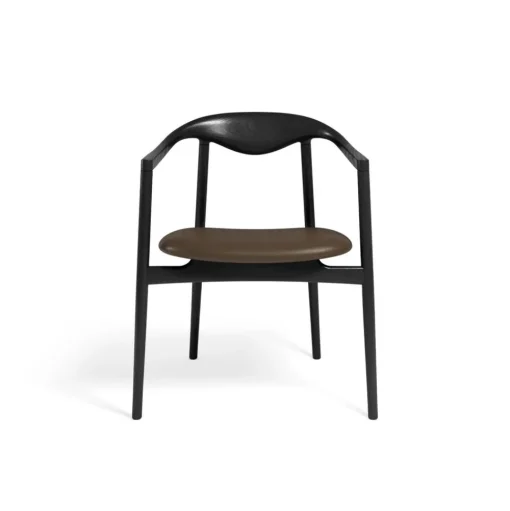 Jari Dining Chair - Ash Black lacquered