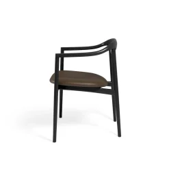 Jari Dining Chair - Ash Black lacquered