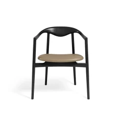 Jari Dining Chair - Ash Black lacquered