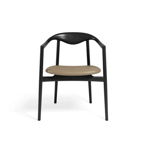 Jari Dining Chair - Ash Black lacquered