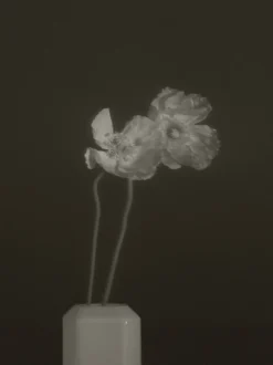 Jewel Vase