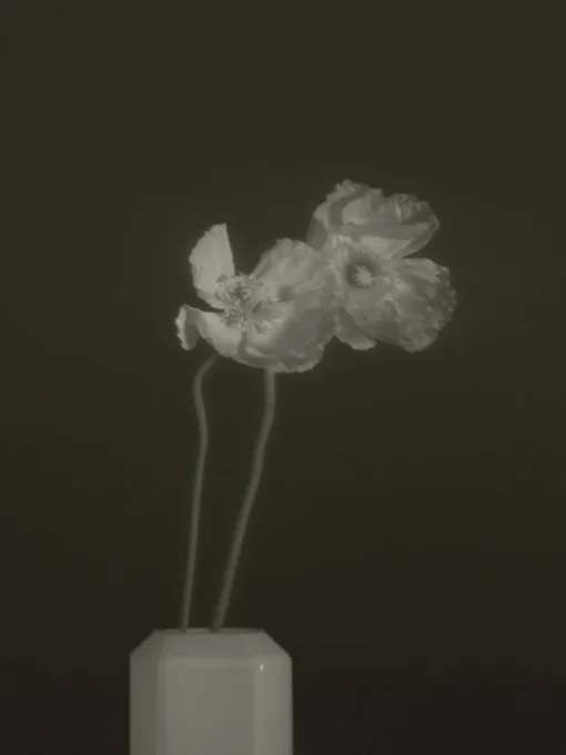 Jewel Vase