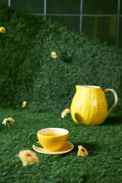 Jug Lemon