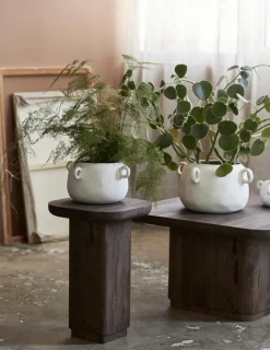 Karlo Pot