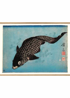 Koi Fish #4800