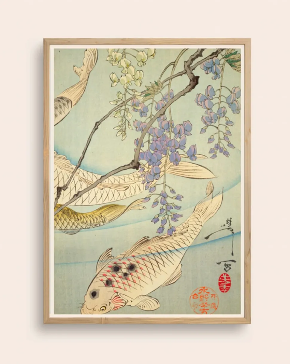Koi poster