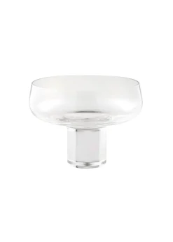 Koyoi Champagne Coupe