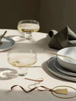 Koyoi Champagne Coupe