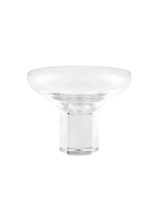 Koyoi Martini Glass