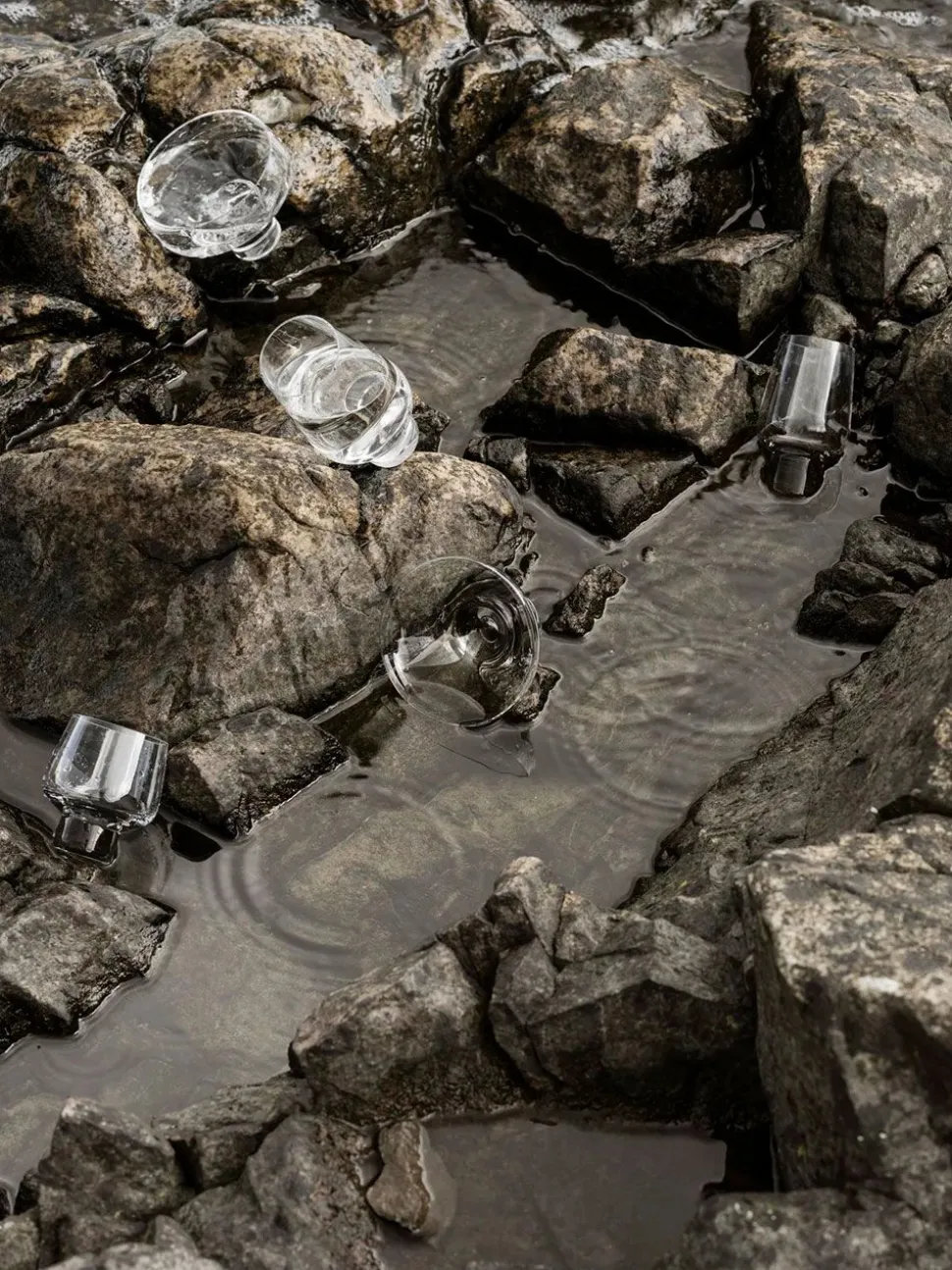 Koyoi Prosecco Glass