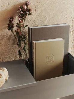 Lager Tray For Plant Box