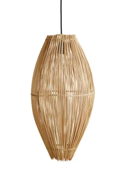 Lamp Fishtrap